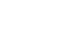 ViSV Foundation